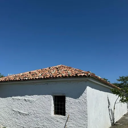 Casa de hóspedes Vitoria - Mrizi I Zanave