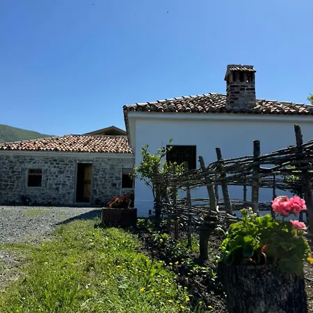 Guest house Vitoria - Mrizi I Zanave *