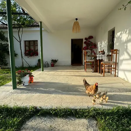 Guest house Vitoria - Mrizi I Zanave *