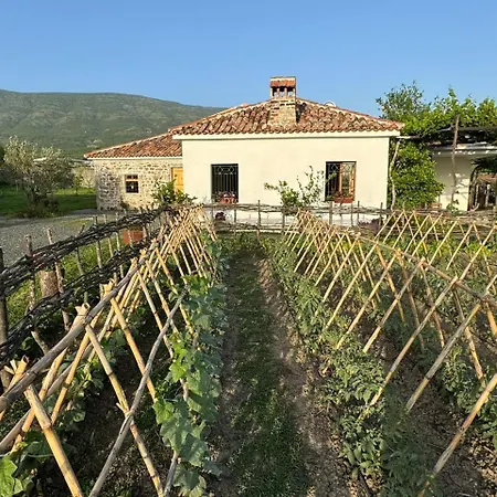 Gasthuis Vitoria - Mrizi I Zanave Fishte