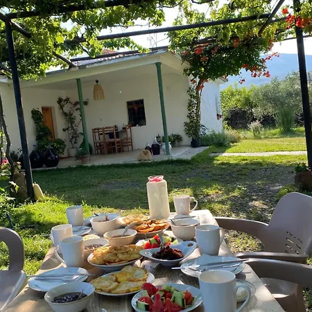 Vitoria - Mrizi I Zanave Fishte