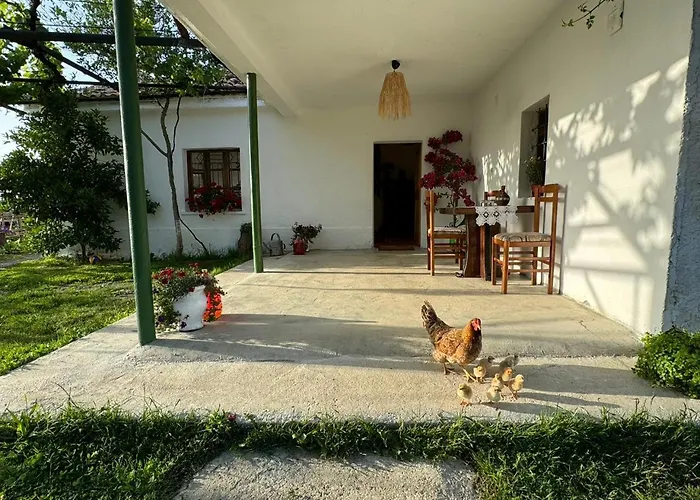 Gasthuis Vitoria - Mrizi I Zanave 3*