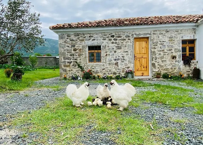 Vitoria - Mrizi I Zanave Pensionat 3*
