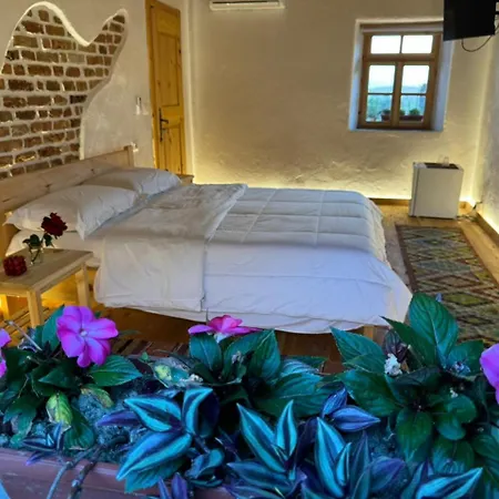 Vitoria - Mrizi I Zanave 3* Fishte
