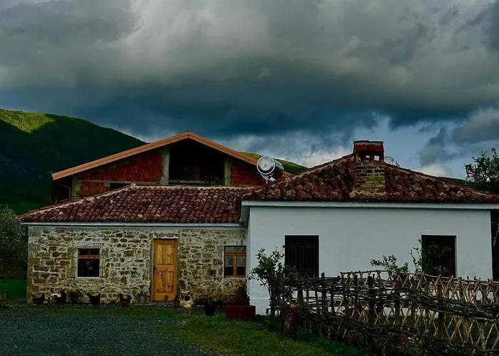 Vitoria - Mrizi I Zanave