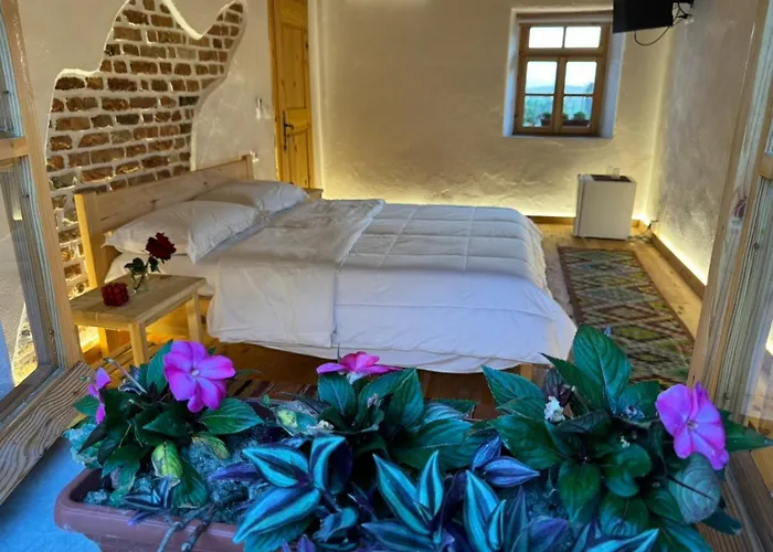 Vitoria - Mrizi I Zanave 3* Fishte
