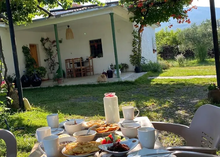 Vitoria - Mrizi I Zanave Fishte